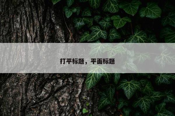 打平标题，平面标题