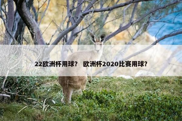 22欧洲杯用球？ 欧洲杯2020比赛用球？