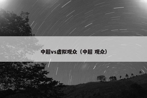 中超vs虚拟观众（中超 观众）