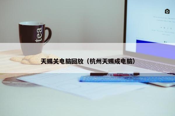 天赐关电脑回放（杭州天赐成电脑）