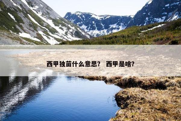西甲独苗什么意思？ 西甲是啥？
