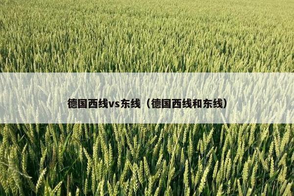德国西线vs东线（德国西线和东线）
