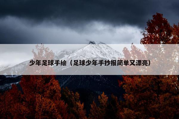 少年足球手绘（足球少年手抄报简单又漂亮）