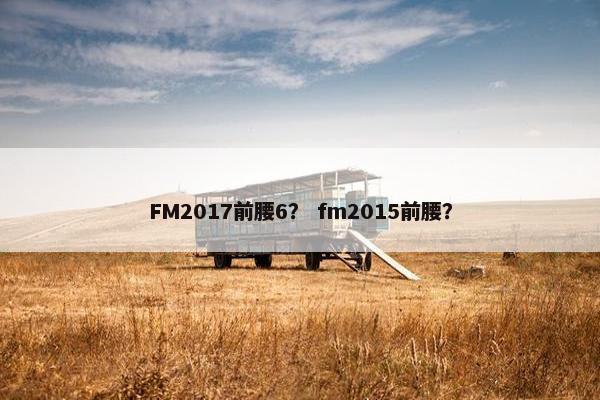 FM2017前腰6？ fm2015前腰？