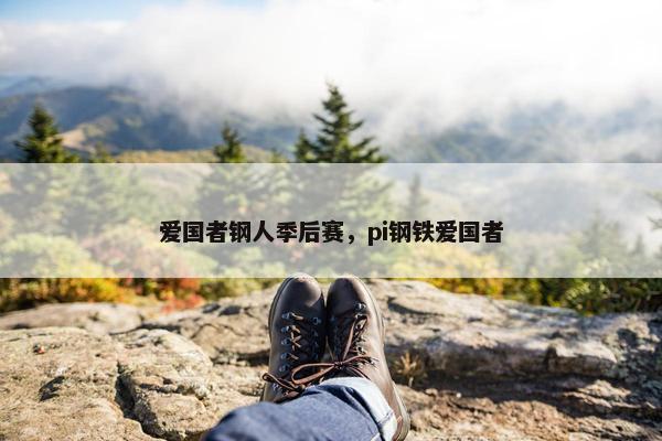 爱国者钢人季后赛，pi钢铁爱国者