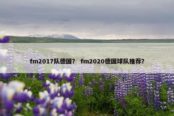 fm2017队德国？ fm2020德国球队推荐？