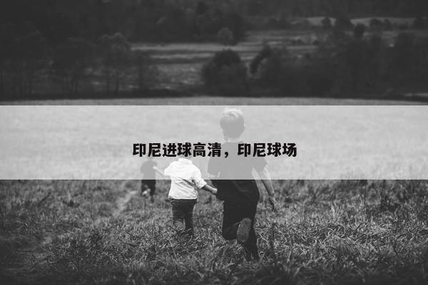 印尼进球高清，印尼球场