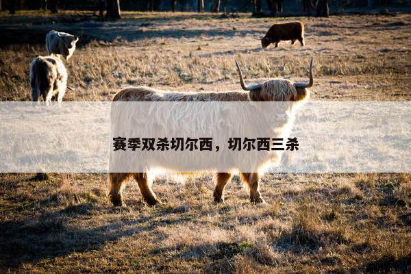 赛季双杀切尔西，切尔西三杀