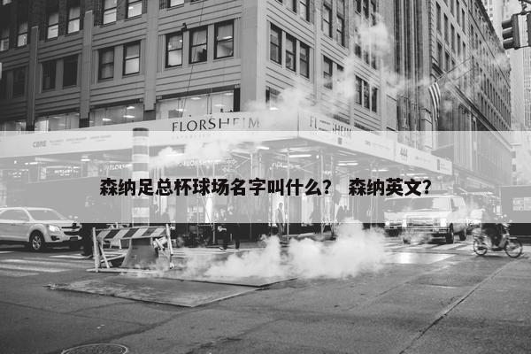 森纳足总杯球场名字叫什么？ 森纳英文？