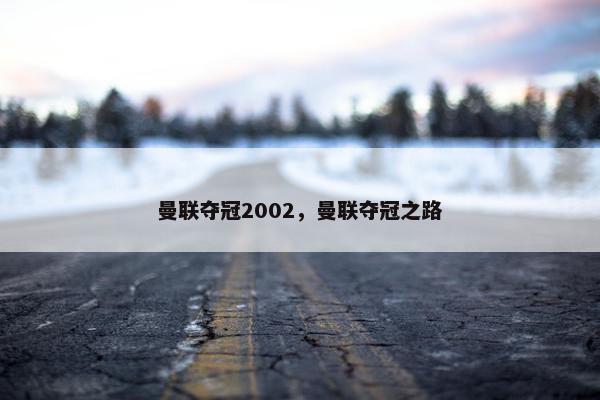 曼联夺冠2002，曼联夺冠之路
