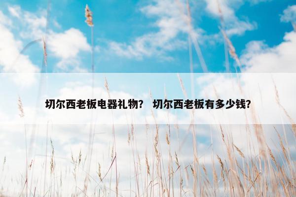 切尔西老板电器礼物？ 切尔西老板有多少钱？