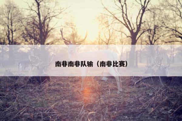 南非南非队输（南非比赛）