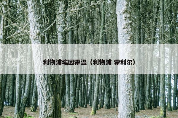 利物浦埃因霍温（利物浦 霍利尔）