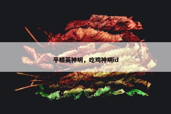 平精英神明，吃鸡神明id