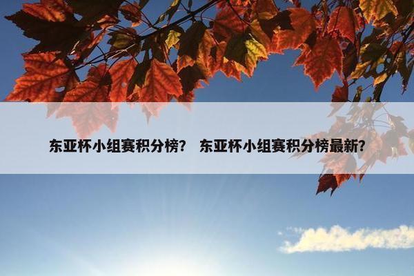 东亚杯小组赛积分榜？ 东亚杯小组赛积分榜最新？