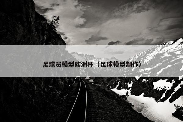 足球员模型欧洲杯（足球模型制作）