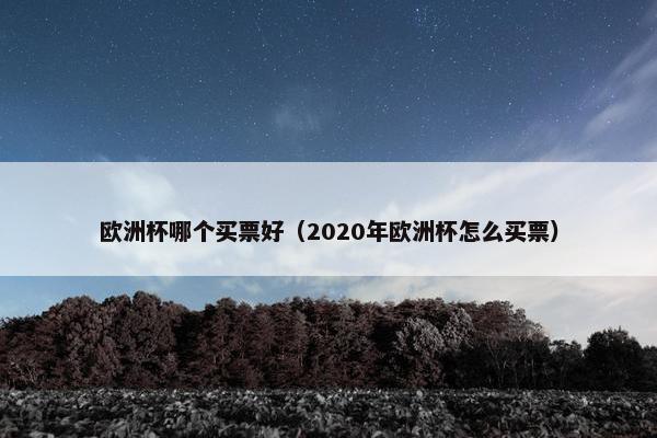 欧洲杯哪个买票好（2020年欧洲杯怎么买票）