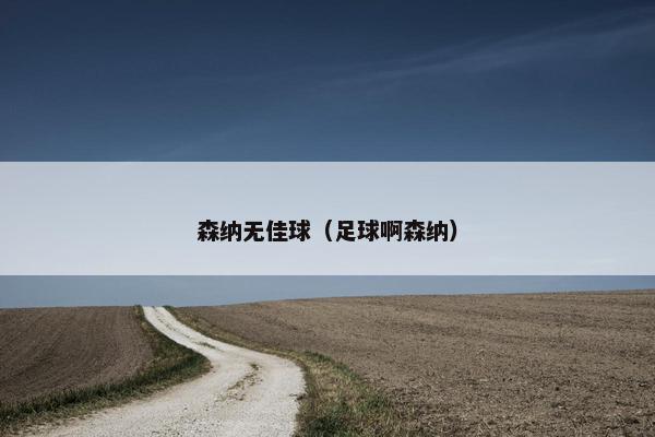 森纳无佳球（足球啊森纳）