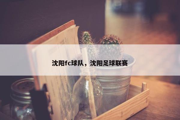 沈阳fc球队，沈阳足球联赛