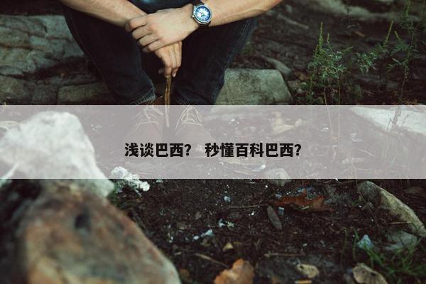 浅谈巴西？ 秒懂百科巴西？