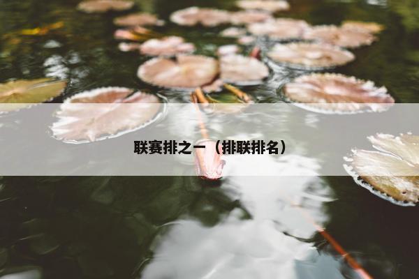 联赛排之一（排联排名）