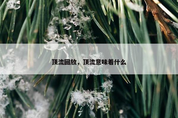 顶流回放，顶流意味着什么