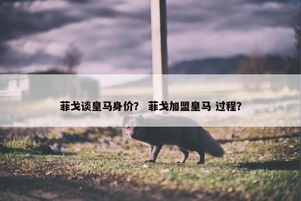 菲戈谈皇马身价？ 菲戈加盟皇马 过程？