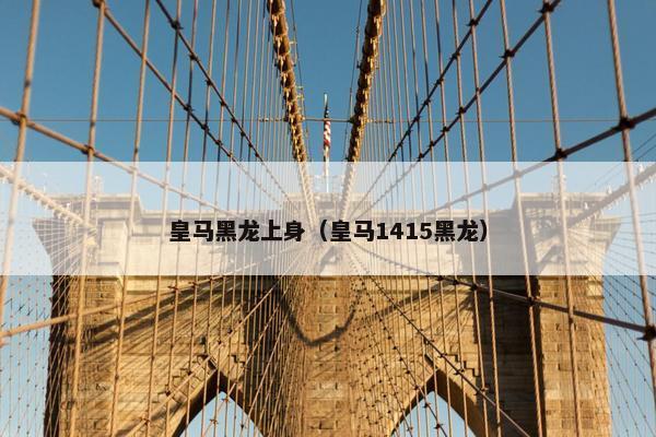 皇马黑龙上身（皇马1415黑龙）