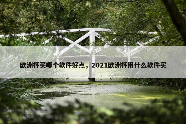 欧洲杯买哪个软件好点，2021欧洲杯用什么软件买