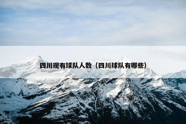 四川现有球队人数（四川球队有哪些）