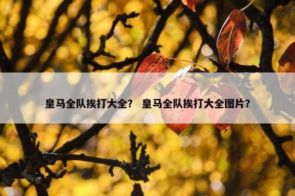 皇马全队挨打大全？ 皇马全队挨打大全图片？