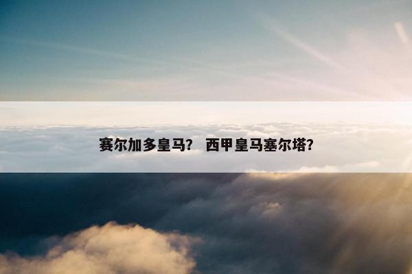 赛尔加多皇马？ 西甲皇马塞尔塔？