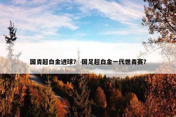 国青超白金进球？ 国足超白金一代世青赛？