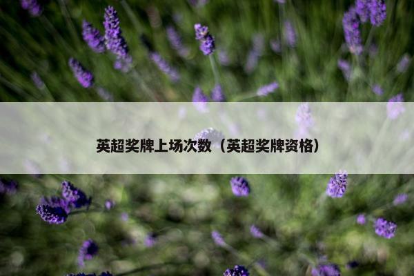 英超奖牌上场次数（英超奖牌资格）