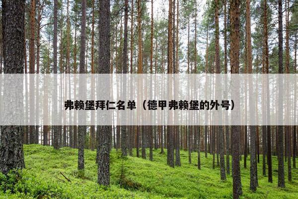 弗赖堡拜仁名单（德甲弗赖堡的外号）