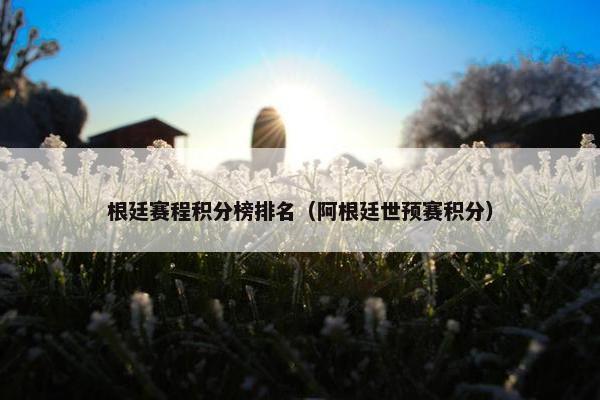 根廷赛程积分榜排名（阿根廷世预赛积分）
