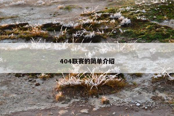 404联赛的简单介绍