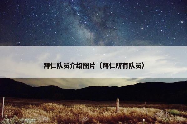 拜仁队员介绍图片（拜仁所有队员）