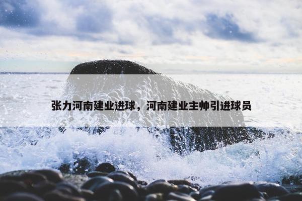 张力河南建业进球，河南建业主帅引进球员