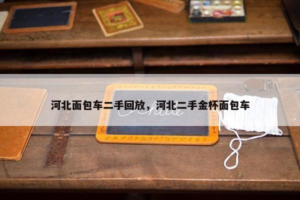 河北面包车二手回放，河北二手金杯面包车