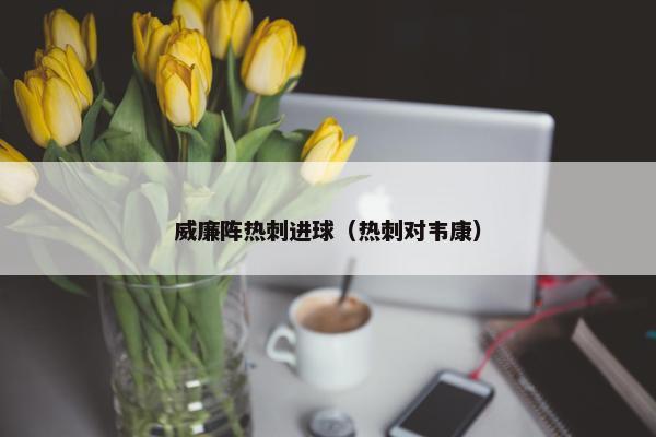 威廉阵热刺进球（热刺对韦康）