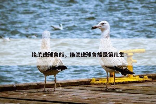 绝杀进球鲁能，绝杀进球鲁能是第几集
