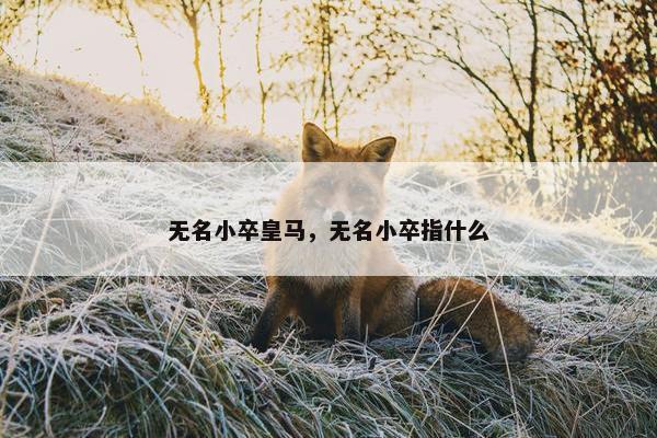 无名小卒皇马，无名小卒指什么