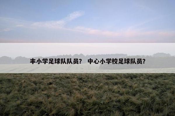 丰小学足球队队员? 中心小学校足球队员? 丰小学足球队队员? 中心小学校足球队员?