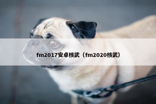 fm2017安卓核武（fm2020核武）