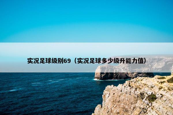 实况足球级别69（实况足球多少级升能力值）