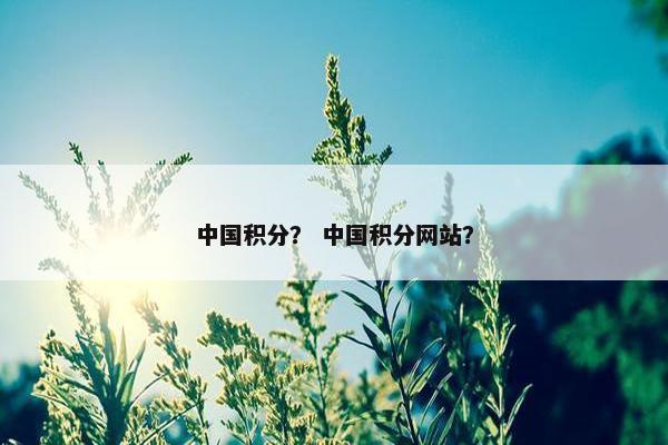 中国积分？ 中国积分网站？