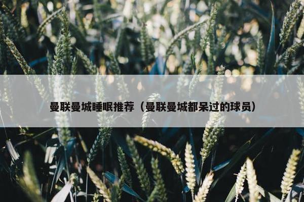 曼联曼城睡眠推荐（曼联曼城都呆过的球员）