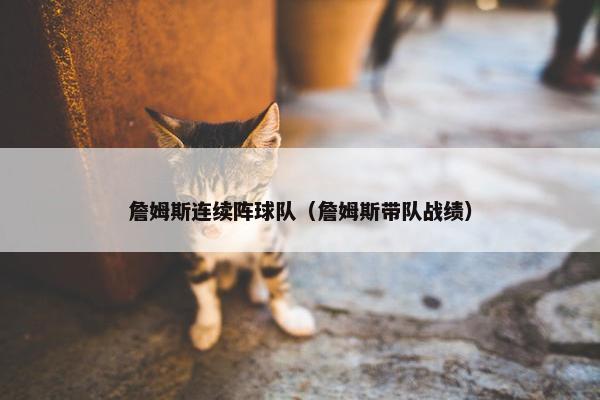 詹姆斯连续阵球队（詹姆斯带队战绩）