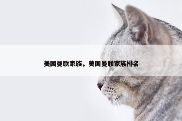 美国曼联家族，美国曼联家族排名
